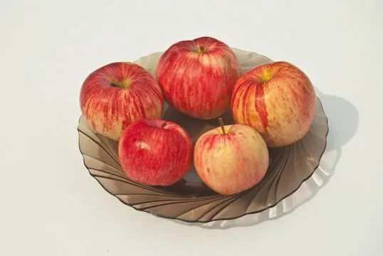 1000050712.jpg