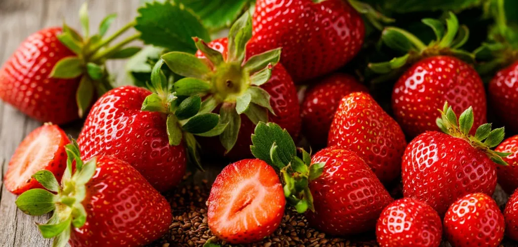 Клубника из семян: пошаговый гид от посева до первого урожая 🍓🌱
