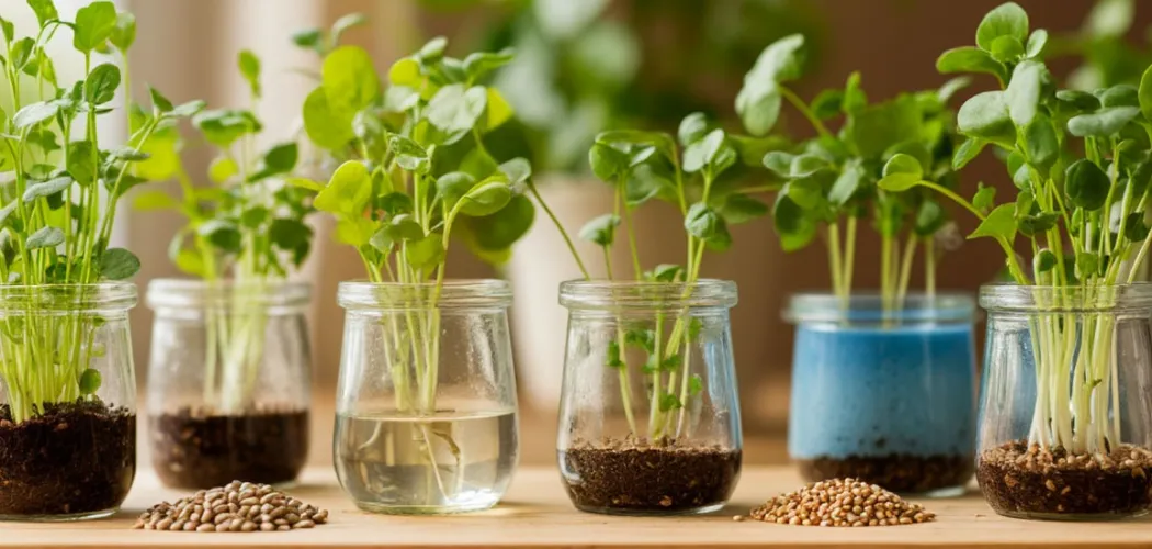 Почему растения растут: 5 простых опытов для детей 🌱🔍