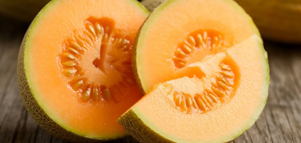 🍈 Заготовки дыни на зиму