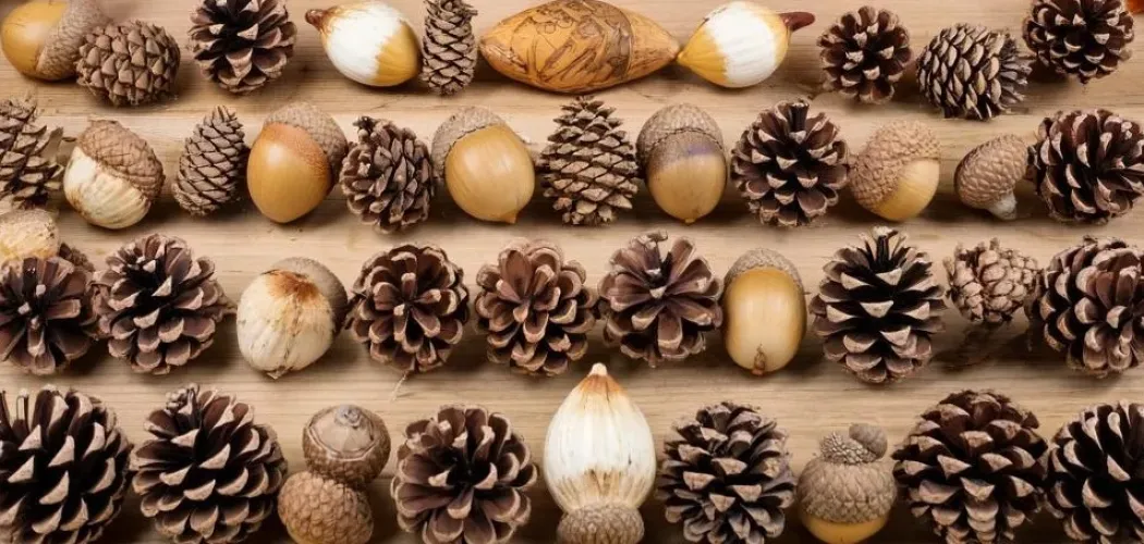 Поделки из шишек и желудей: природные сокровища для творчества 🌰🌲✨
