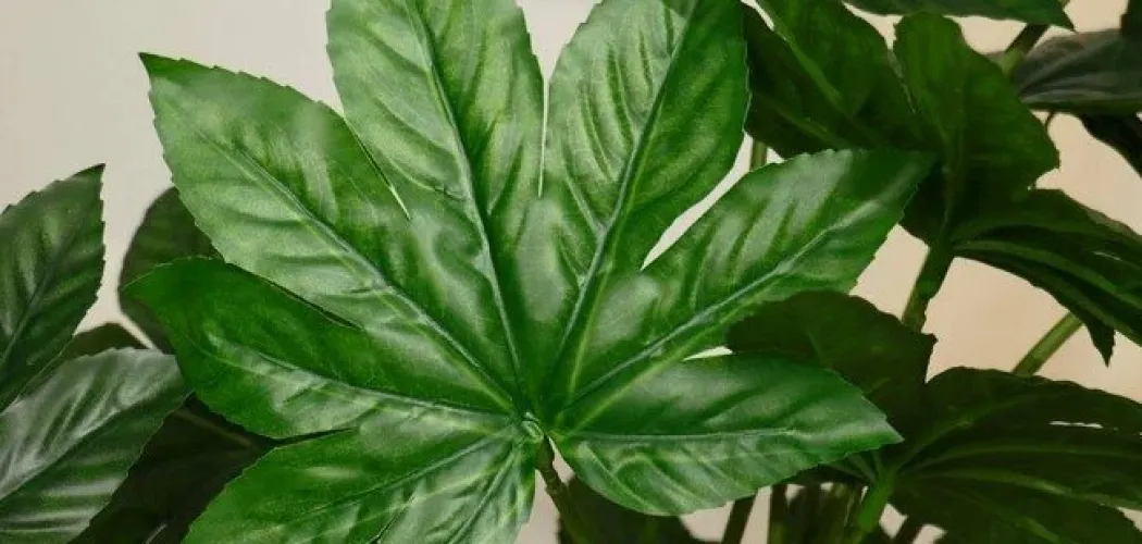 🌿 Топ-10 советов по уходу за Фатсией 🪴✨
