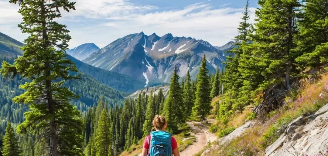 Советы для начинающих туристов: подробный гид🏕️