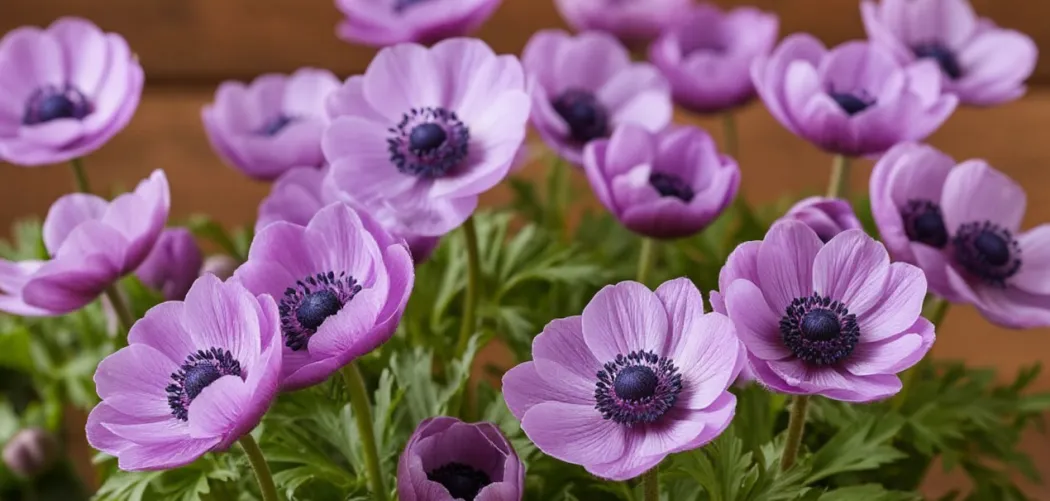 🌼 Почему у анемона желтеют листья: причины, лечение и профилактика 🌞💧