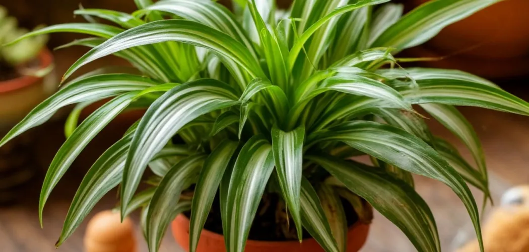 Ядовит ли Хлорофитум для детей и животных? Полный гид по безопасности «Зелёной лилии»